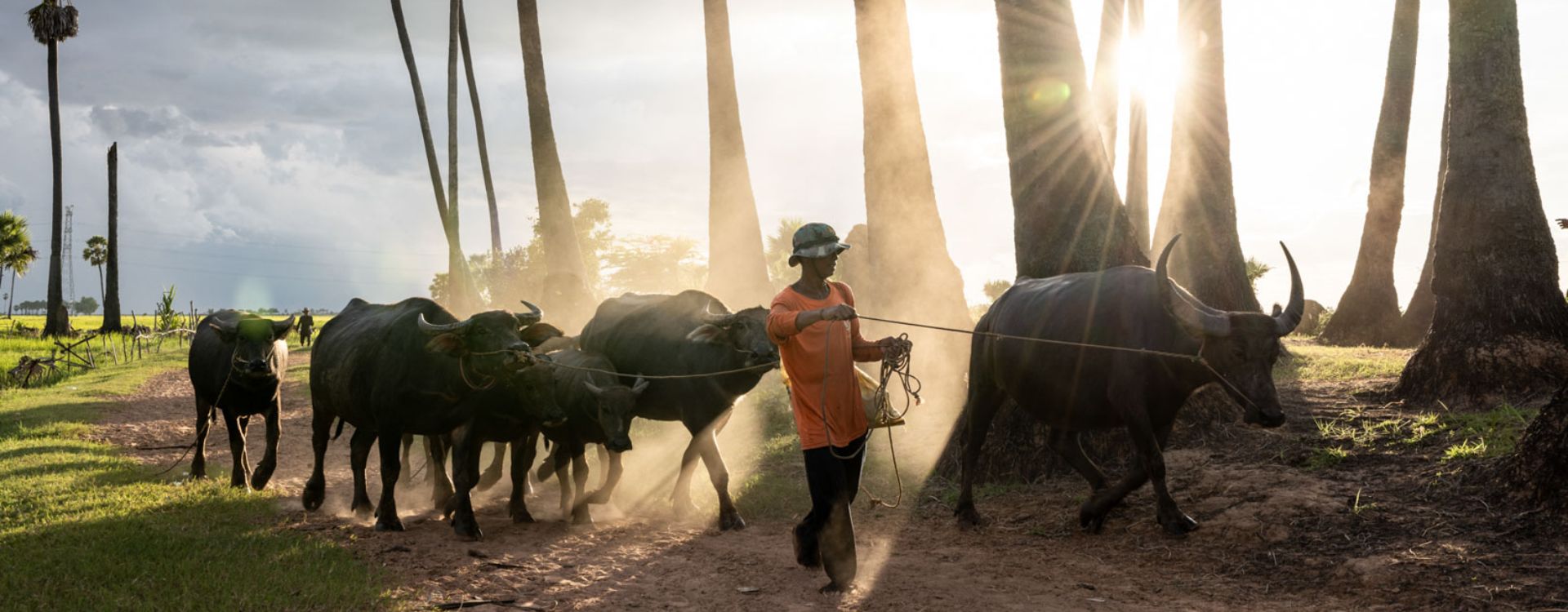 Les 20+ meilleurs circuits de voyage au Cambodge